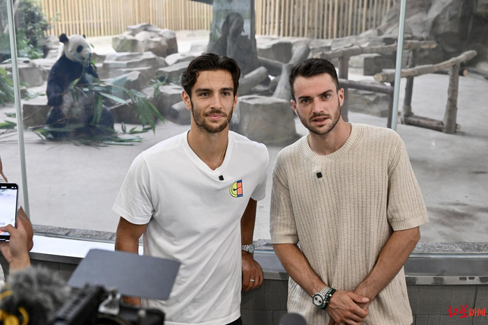 李爽的战略 李爽的战略