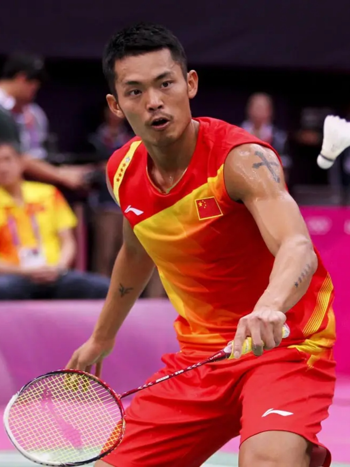 是归化政策 是归化政策