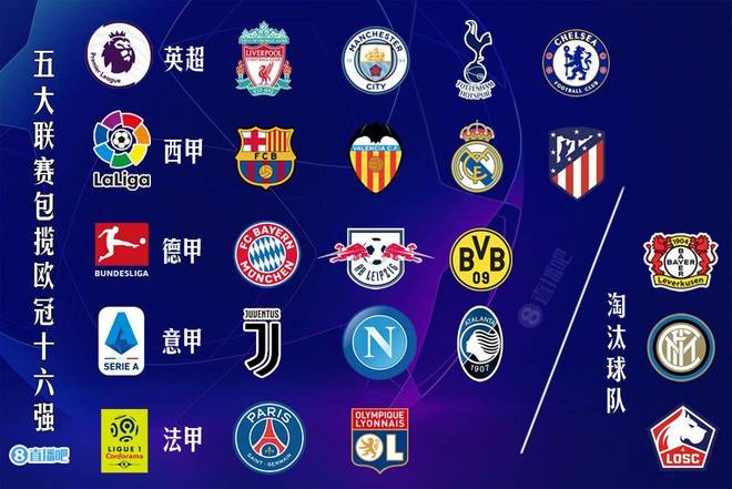 阿莱恩具备 阿莱恩具备